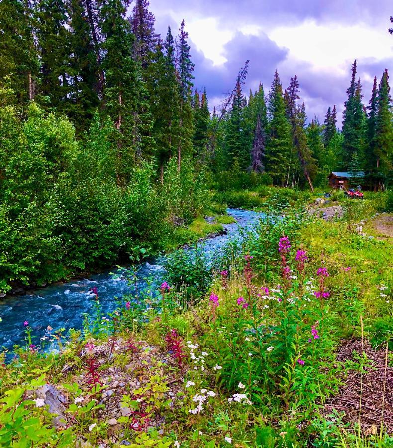 Carlo Creek Cabins Denali Park Экстерьер фото