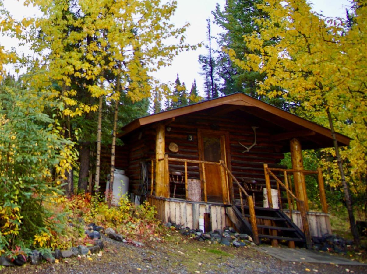 Carlo Creek Cabins Denali Park Экстерьер фото