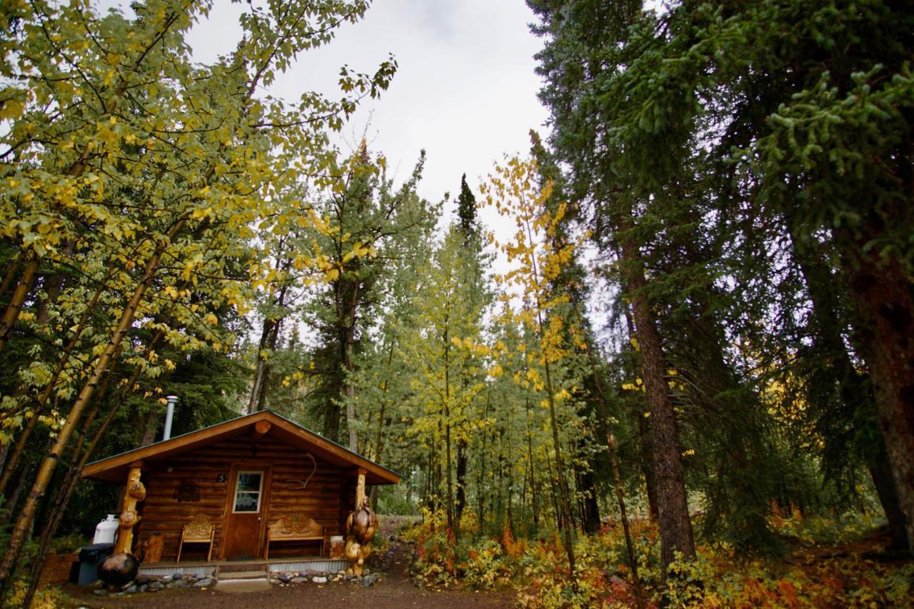 Carlo Creek Cabins Denali Park Экстерьер фото