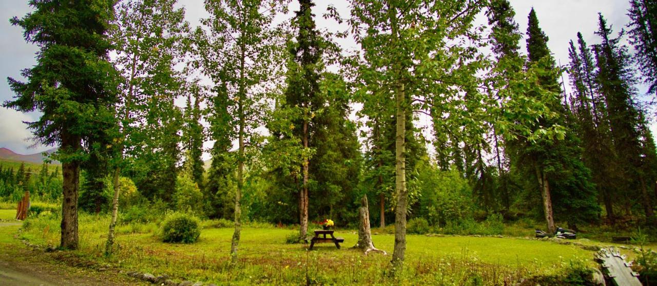 Carlo Creek Cabins Denali Park Экстерьер фото