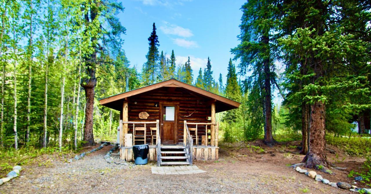 Carlo Creek Cabins Denali Park Экстерьер фото