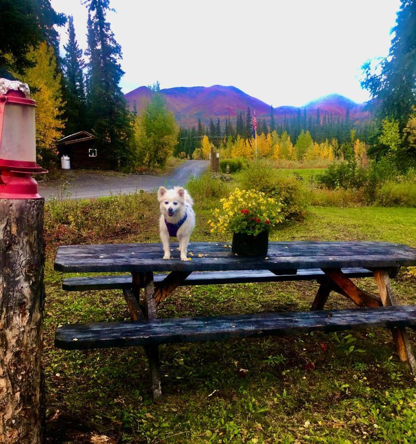 Carlo Creek Cabins Denali Park Экстерьер фото