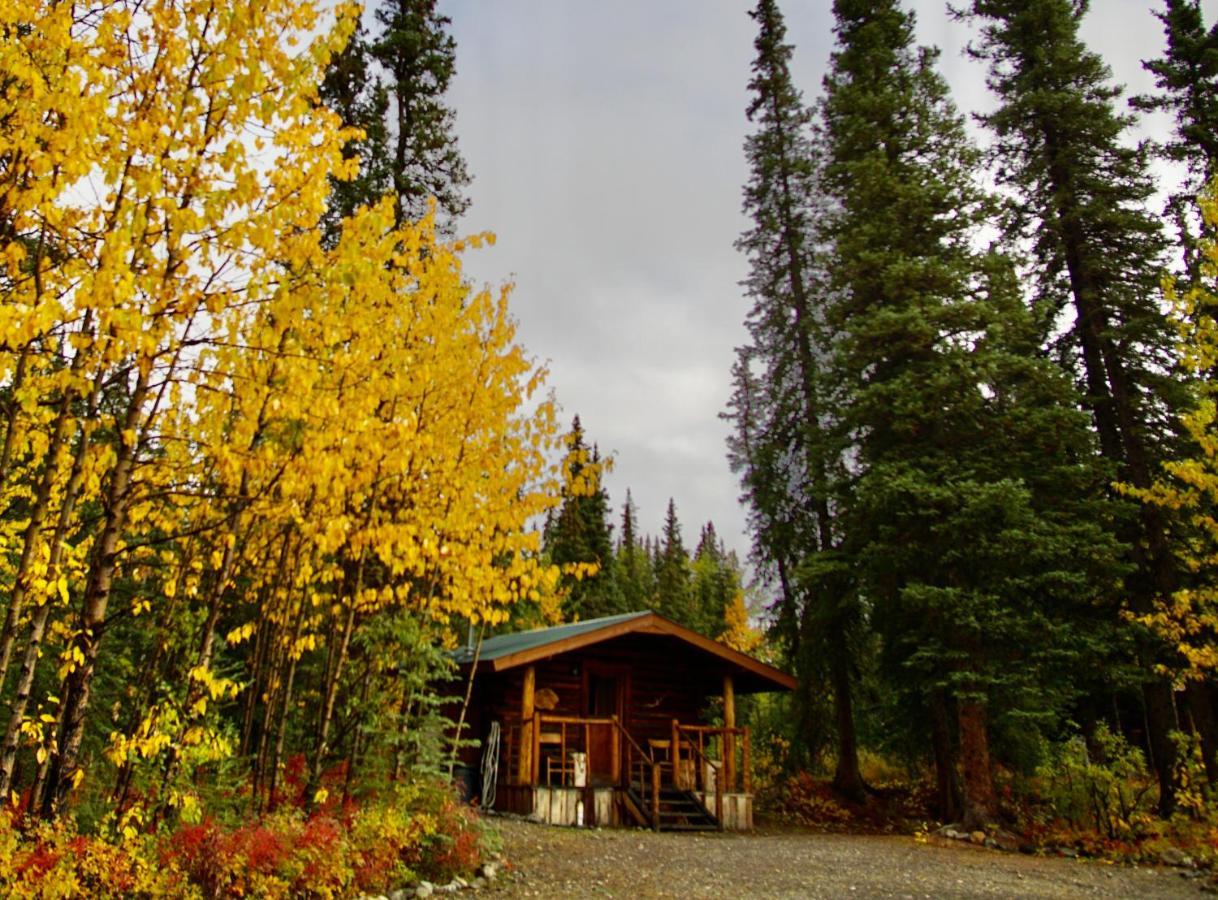 Carlo Creek Cabins Denali Park Экстерьер фото