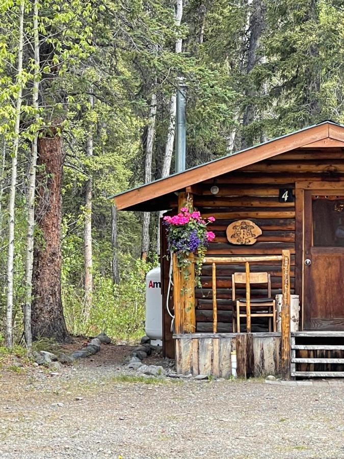 Carlo Creek Cabins Denali Park Экстерьер фото