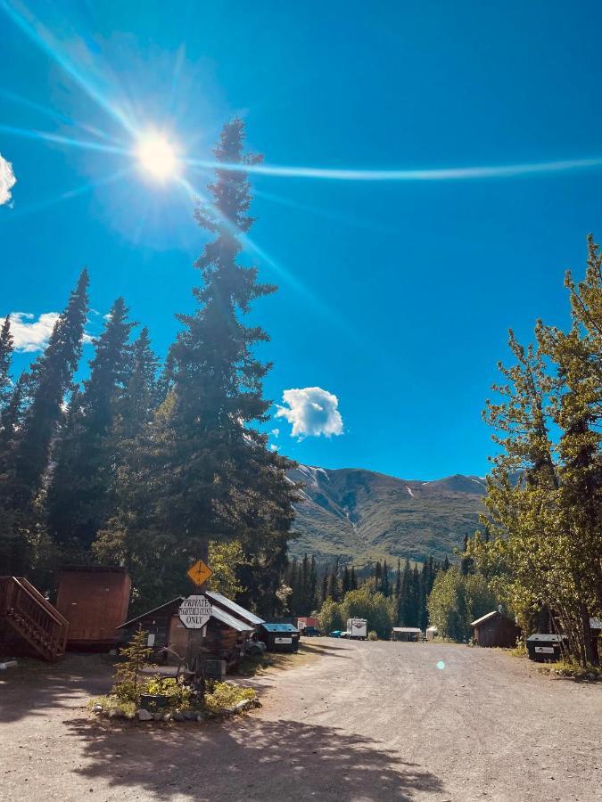 Carlo Creek Cabins Denali Park Экстерьер фото