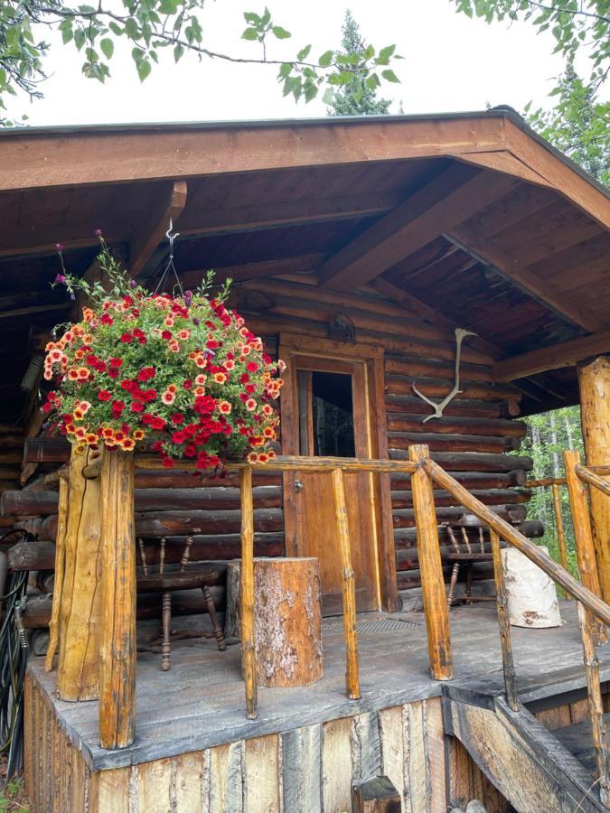 Carlo Creek Cabins Denali Park Экстерьер фото