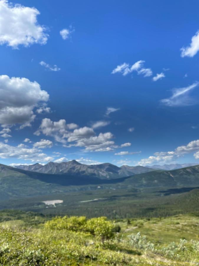 Вилла Carlo Creek Cabins Denali Park Экстерьер фото