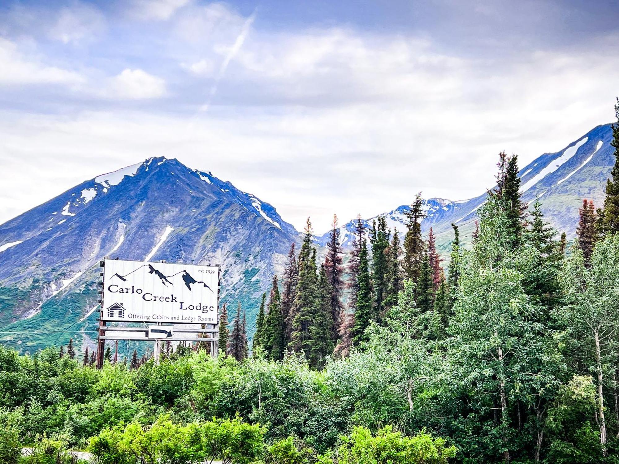 Carlo Creek Cabins Denali Park Экстерьер фото