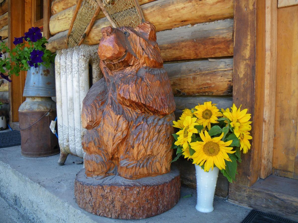 Carlo Creek Cabins Denali Park Экстерьер фото