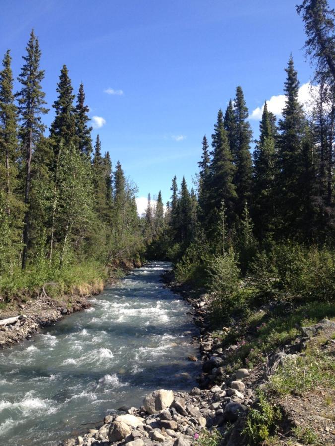 Carlo Creek Cabins Denali Park Экстерьер фото