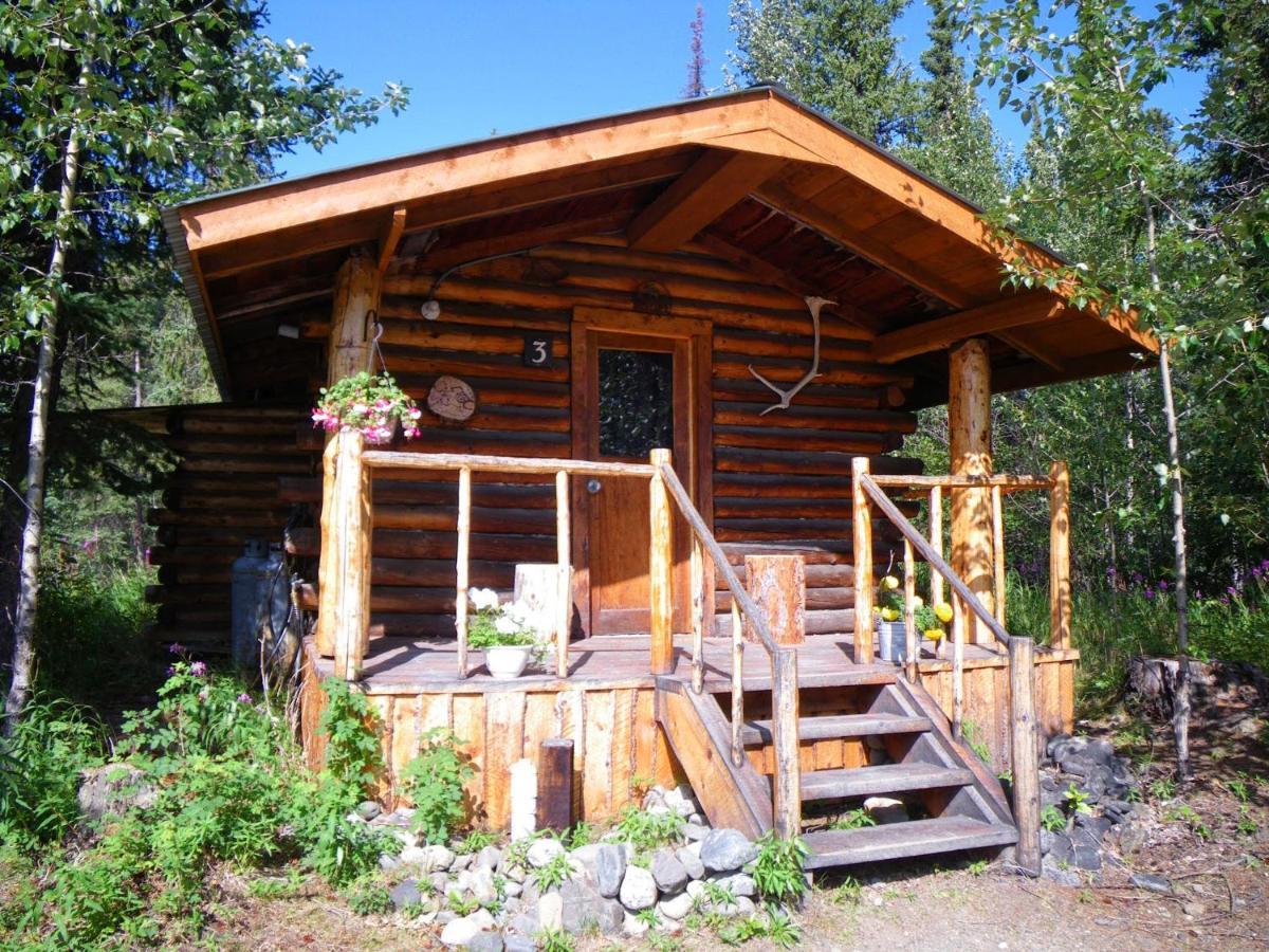 Carlo Creek Cabins Denali Park Экстерьер фото